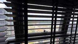V On Shenton (D1), Apartment #559694281